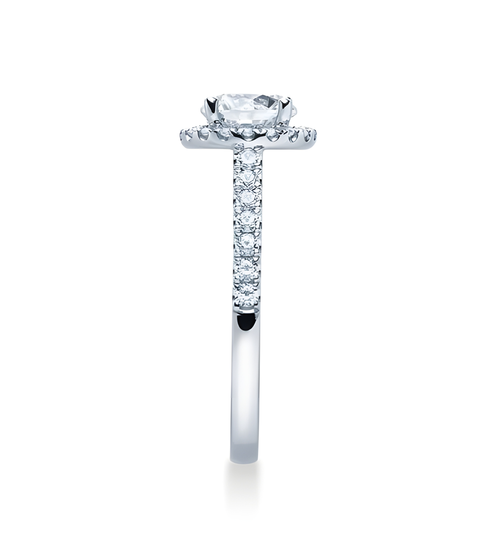 Vega 0,30 | Oro blanco o Platino - Anillos de compromiso - Anillo de compromiso exclusivo en oro blanco o platino con diamantes