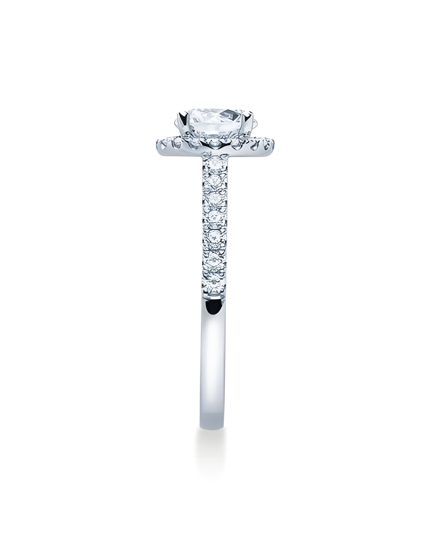 Vega 0,30 | Oro blanco o Platino - Anillos de compromiso - Anillo de compromiso exclusivo en oro blanco o platino con diamantes